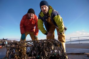 Would you go out with me?